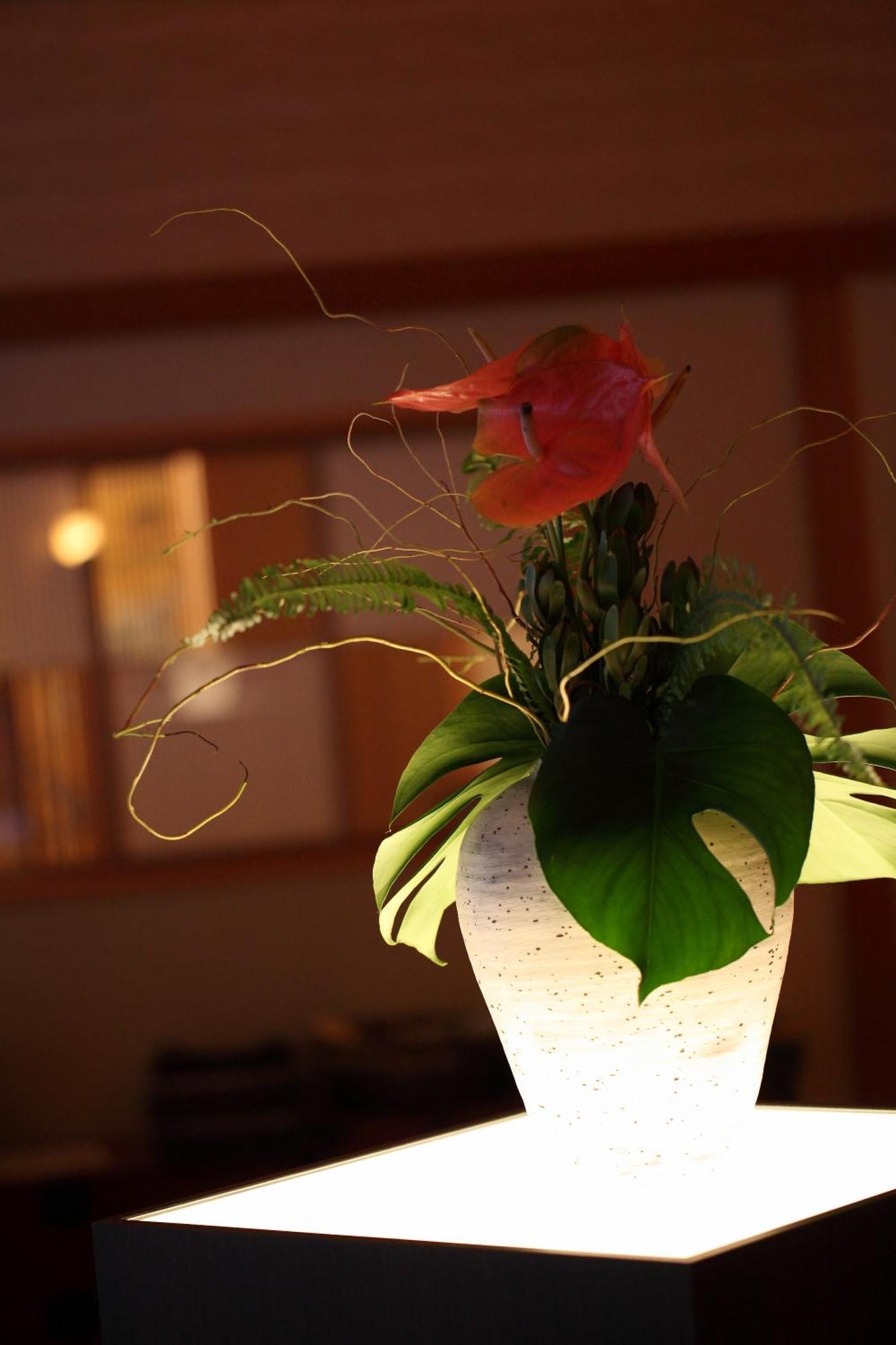 Kyo Yunohana Resort Suisen Kameoka Buitenkant foto